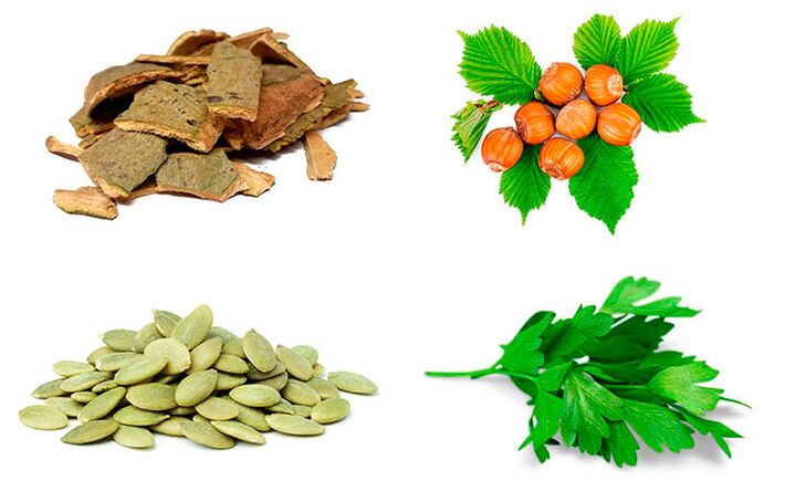 Folkmedicijnen voor het bestrijden van prostatitis - espenschors, pompoenpitten, peterselie en hazelnoten